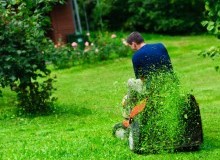 Kwikfynd Lawn Mowing
langleyqld